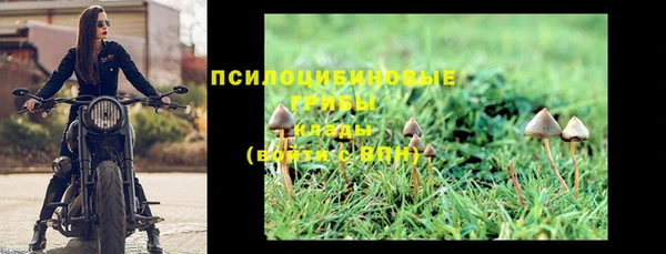 трава Беломорск