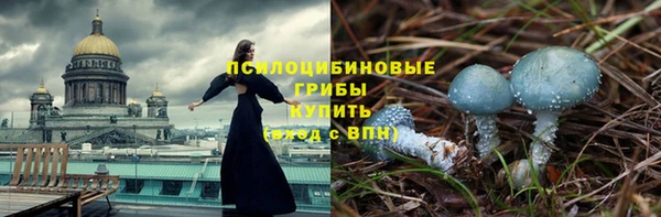 трава Беломорск